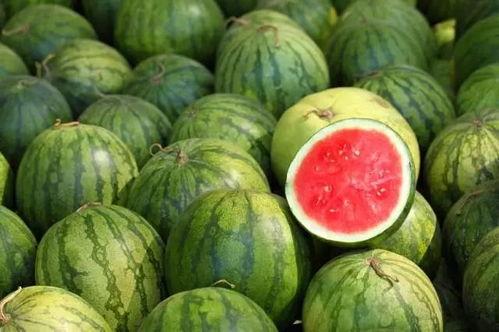 吃瓜全球最新爆料,吃瓜群众揭秘最新爆料风云