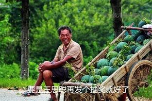 911 红领巾今日吃瓜,今日吃瓜大揭秘，热点事件深度解析