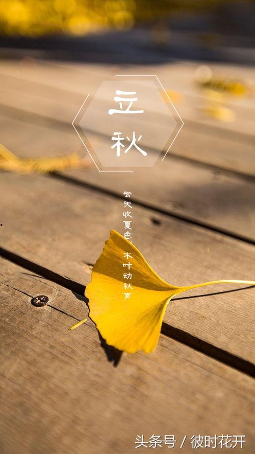 今日立秋吃瓜快乐,快乐共享时光