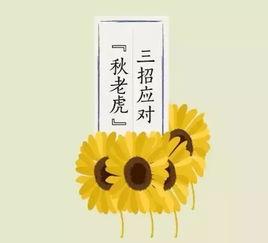 今日立秋吃瓜快乐,快乐共享时光