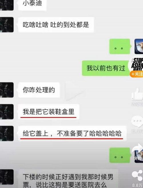 吃瓜爆料视频开头,揭开娱乐圈背后的惊人真相