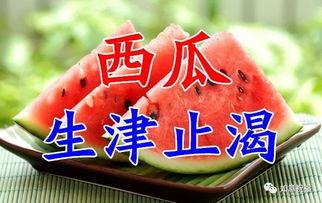 今日入伏吃三瓜 新闻