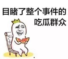 小逗逗今日吃瓜爆料,今日娱乐圈热点事件大追踪