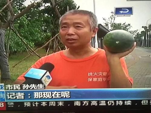 曹县近期热门吃瓜事件,揭秘近期热门吃瓜事件背后的真相
