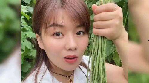 明星网红来菏泽,明星网红打卡新地标，魅力菏泽焕新颜