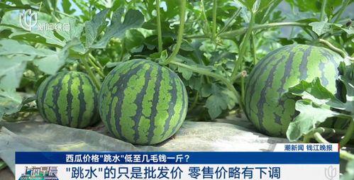 91黑料吃瓜网热点大瓜,揭秘娱乐圈最新热点大瓜，带你领略幕后真相
