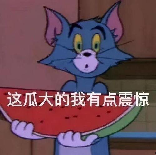 你吃瓜我爆料,我爆料背后的真相与内幕