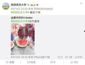 高校爆料吃瓜视频,吃瓜视频揭露校园风云录