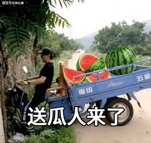 近期热门吃瓜事件文案,真相与谣言的较量