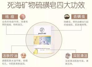 明星网红黄网,明星网红背后的网络迷局