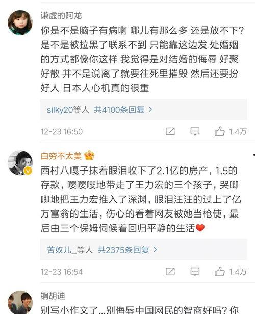 吃瓜评论区娱乐圈,揭秘明星幕后故事与真实情感