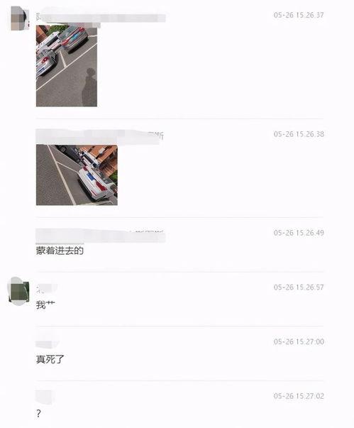 濮阳专科吃瓜爆料,吃瓜爆料揭示校园幕后故事