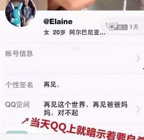 濮阳专科吃瓜爆料,吃瓜爆料揭示校园幕后故事