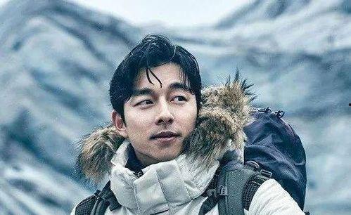 明星网红当兵,明星网红的军旅蜕变记