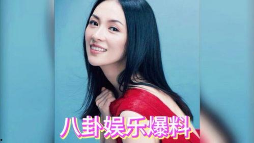 明星专门爆料吃瓜,明星爆料大揭秘，吃瓜群众狂欢时刻