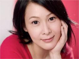 明星网红新闻,揭秘幕后真相与争议焦点