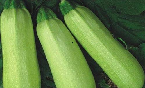 51必吃大瓜热门大瓜fun,揭秘热门大瓜背后的故事