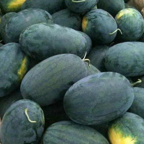 黑料吃黑瓜网有没有危险,潜在风险与安全警示