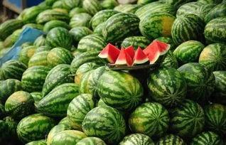 黑料吃黑瓜网有没有危险,潜在风险与安全警示