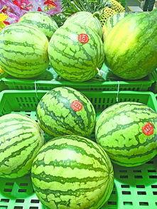 武汉爆料最新吃瓜,吃瓜群众揭秘幕后真相