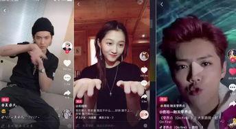 明星遇见明星网红视频,明星邂逅明星网红的精彩瞬间