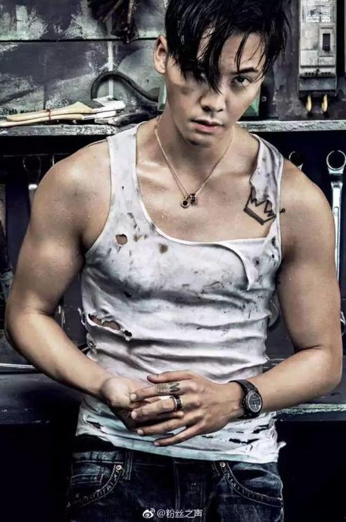 明星网红腹肌男,网红男星健身风采