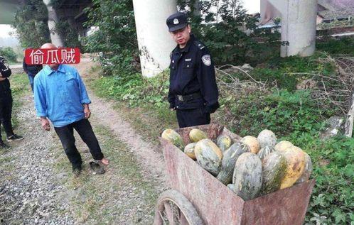 金乡近期热门吃瓜事件视频,揭秘近期热门事件背后的真相