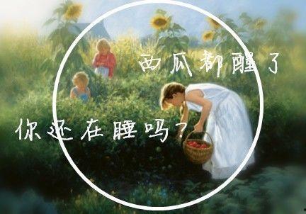 今日份吃瓜群众上线,吃瓜群众狂欢时刻