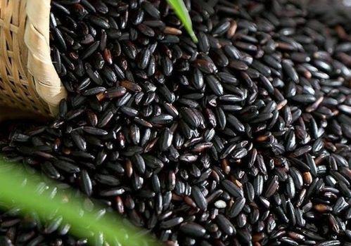 黑麻瓜可以吃吗怎么吃,如何品尝这份独特美味