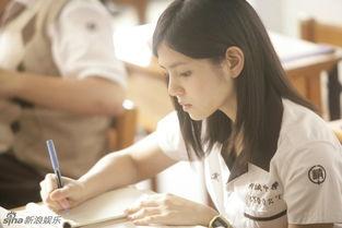 明星网红泛滥,流量背后的深思与反思