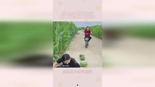 今日宜吃瓜小说结局,揭秘宜吃瓜小说的惊心动魄结局