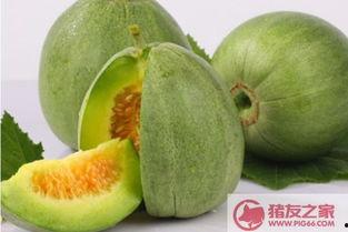 黑脆瓜可以吃吗,美味可口的健康佳品，您值得尝试！