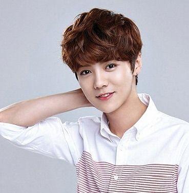 女明星网红男明星,星光熠熠的甜蜜邂逅