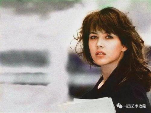 明星网红感,影响力与商业价值的双面镜