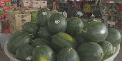 近期热门吃瓜事件甘肃,揭秘近期热门吃瓜事件的背后真相