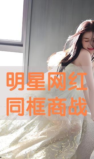 明星网红窗口,流量背后的影响力解析