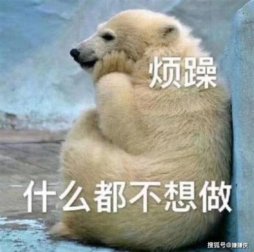 热门吃瓜话题图片大全,吃瓜群众聚焦热门话题图片大盘点