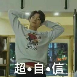 明星网红表情,明星同款表情包背后的故事”