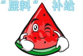 今日份吃瓜现场来啦,吃瓜现场新鲜出炉