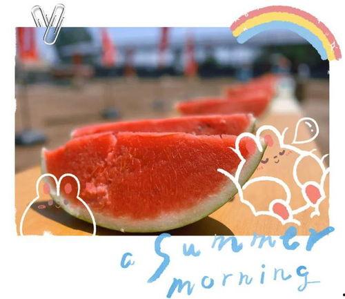 今日份吃瓜现场来啦,吃瓜现场新鲜出炉