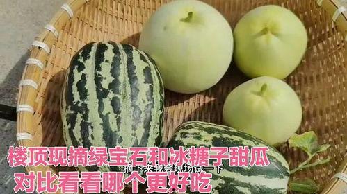 哪里吃热门瓜好吃呢,揭秘各地热门瓜果的绝佳品尝地