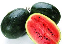 黑吃瓜料网地址