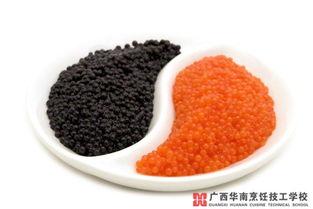 今日吃瓜鱼子酱,揭秘吃瓜鱼子酱背后的故事