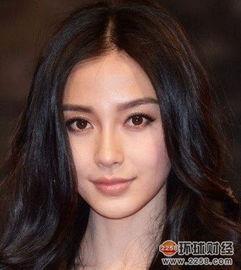 明星网红走红,揭秘明星网红的走红之路