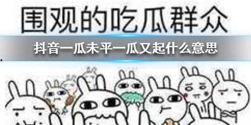 热门吃瓜事件最新抖音,最新吃瓜事件，揭秘幕后真相！