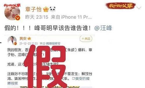 跳舞吃瓜爆料文案,揭秘娱乐圈幕后风云