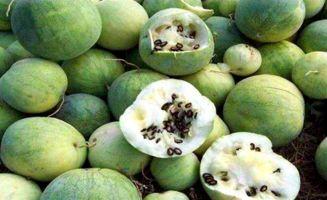 黑料吃瓜资源灵寿,揭秘黑料吃瓜背后的资源奥秘