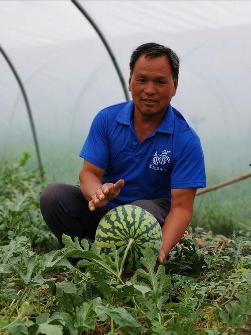 近期热门吃瓜事件河南,揭秘近期热门吃瓜事件背后的真相