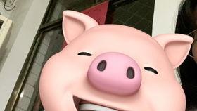 猪头特效吃瓜爆料,揭秘娱乐圈幕后真相