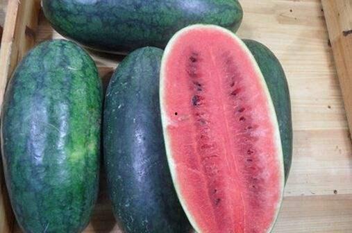 51热门大瓜黑料吃瓜爆料,揭秘娱乐圈黑料爆料背后的真相